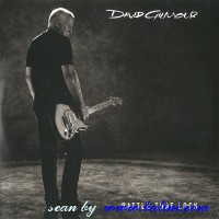 David Gilmour, Rattle That Lock, Sony, 888751372792