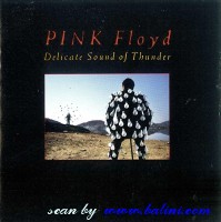 Pink Floyd, Delicate Sound of Thunder, Columbia, SMP 3093-4.2