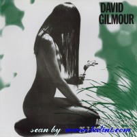 David Gilmour, About Face Live, Other, N852