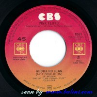 Pink Floyd, Not Now John, The Heros Return, CBS, 8551