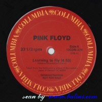 Pink Floyd, Learning to Fly, Columbia, 12CDN-378
