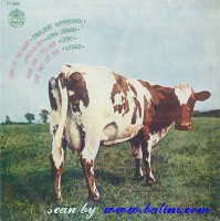 Various Artists, Atom Heart Mother, (Cover Only), 4Track, FT.989
