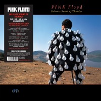 Pink Floyd, Delicate Sound of Thunder, Parlophone, PFRLP16