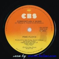 Pink Floyd, Comfortably Numb, Hey You, CBS, BA 222707
