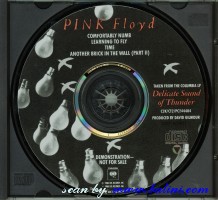 Pink Floyd, Comfortably Numb, , DISP 000031