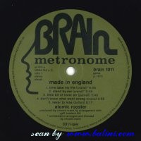 , Brain 1011