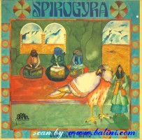 Spirogyra, Old Boot Wine, Brain, Brain 1012