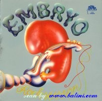 Embryo, Rocksession, Brain, Brain 1036