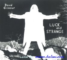 David Gilmour, Luck and Strange, Sony, 19802813762